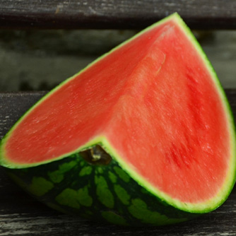 Seedless watermelon