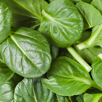 Baby spinach leaves