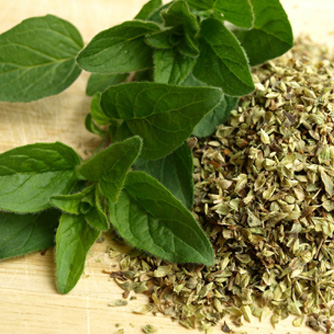 Fresh and dried oregano