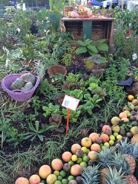 Part of the edible display in the Giant Kitchen Garden